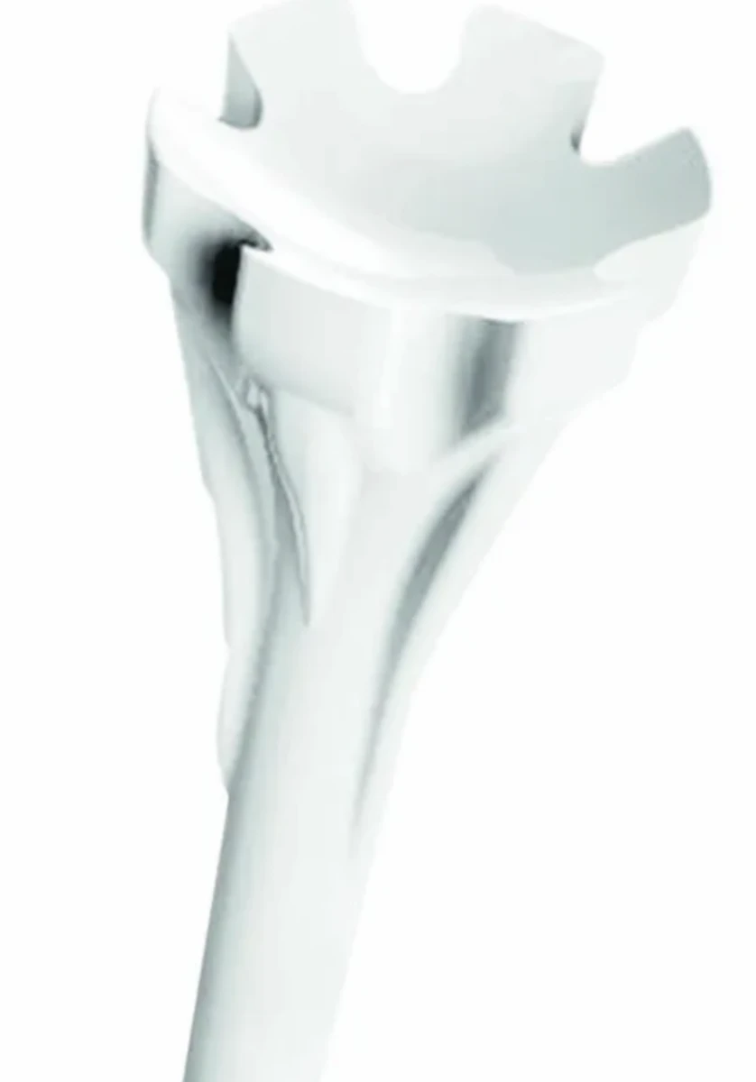 Champ Zarma White Fly Tee 83Mm - Image 3